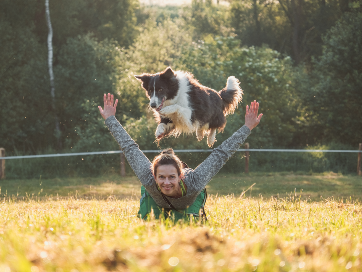 Vsaďte na jistotu! Produkty prověřené mazlíčky i chovateli