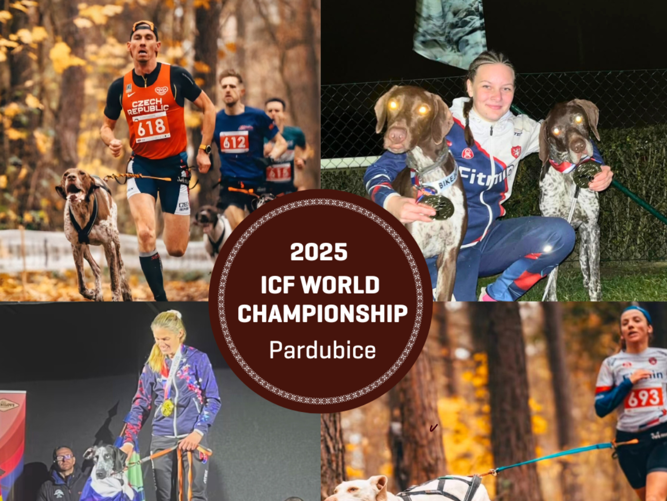 Naši Fitmin ambasadoři zářili na Mistrovství světa v mushingu v Pardubicích!