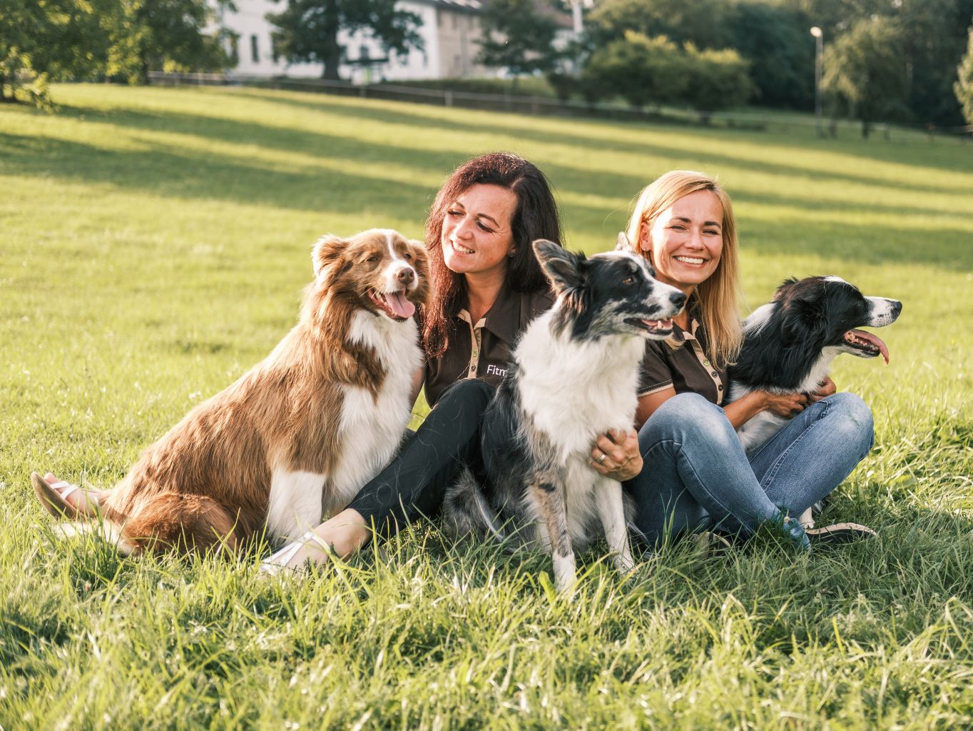 Shrnutí roku 2023 na fitmin.cz