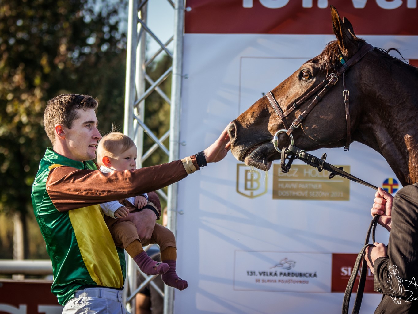 Velkou pardubickou vyhrál Talent