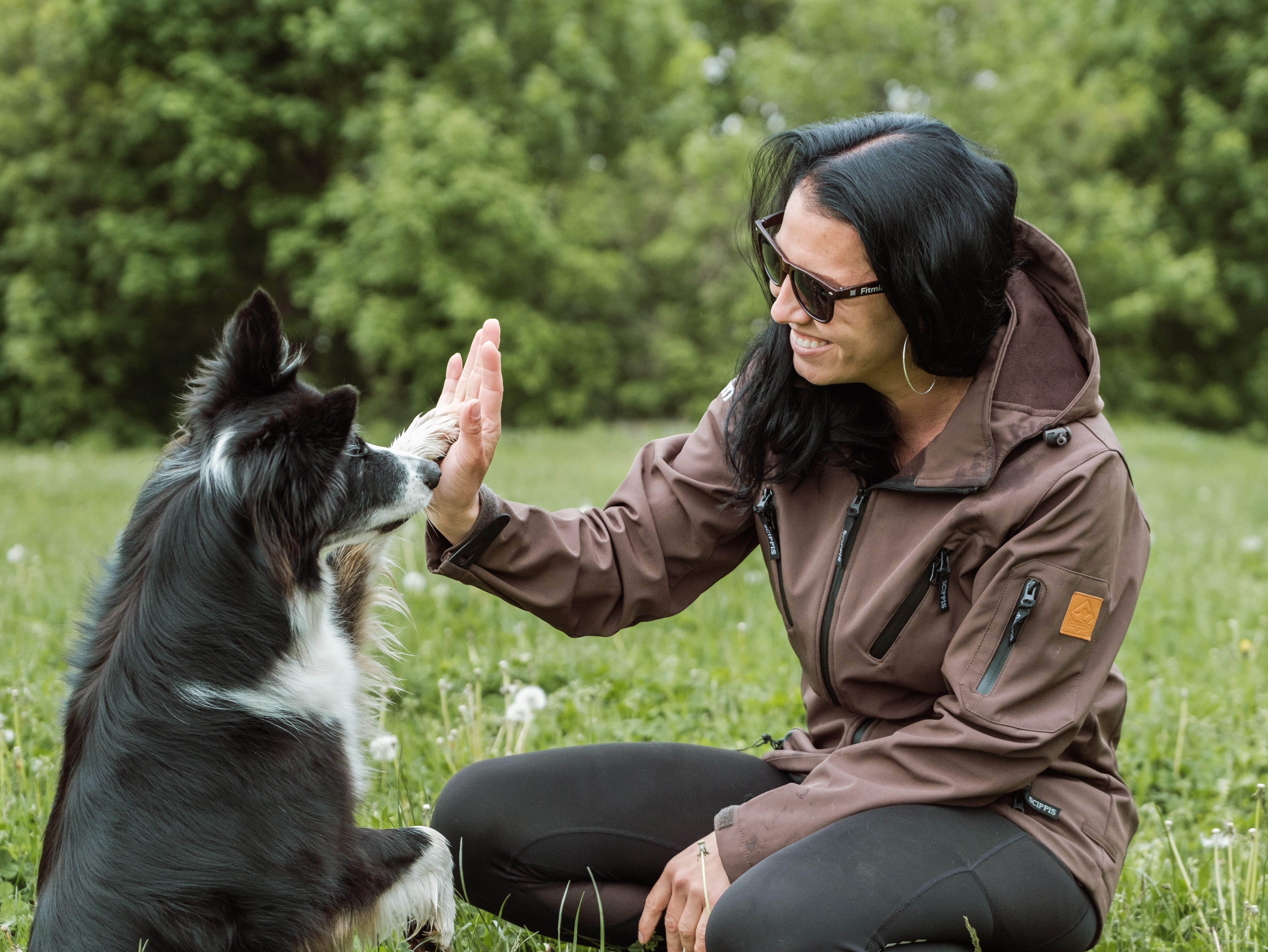 Chcete svým pejskům rozumět jako nikdy dříve? Pracujte s konejšivými signály
