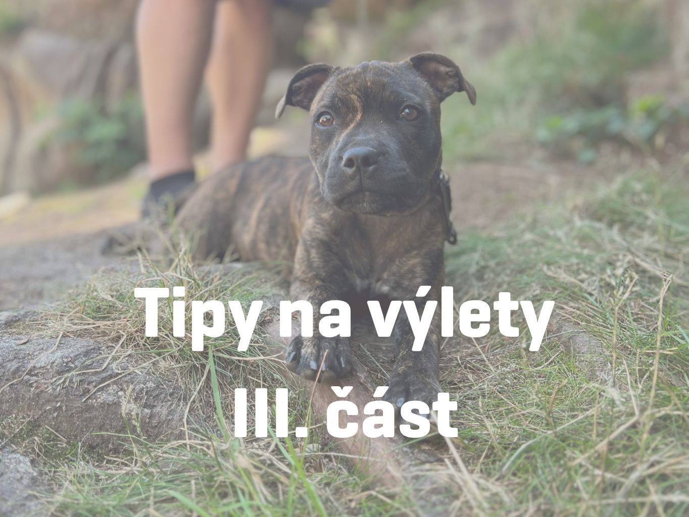 Výlety v okolí Orlických hor