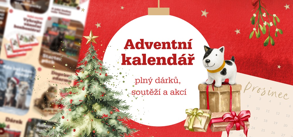 Adventní kalendář_obecný