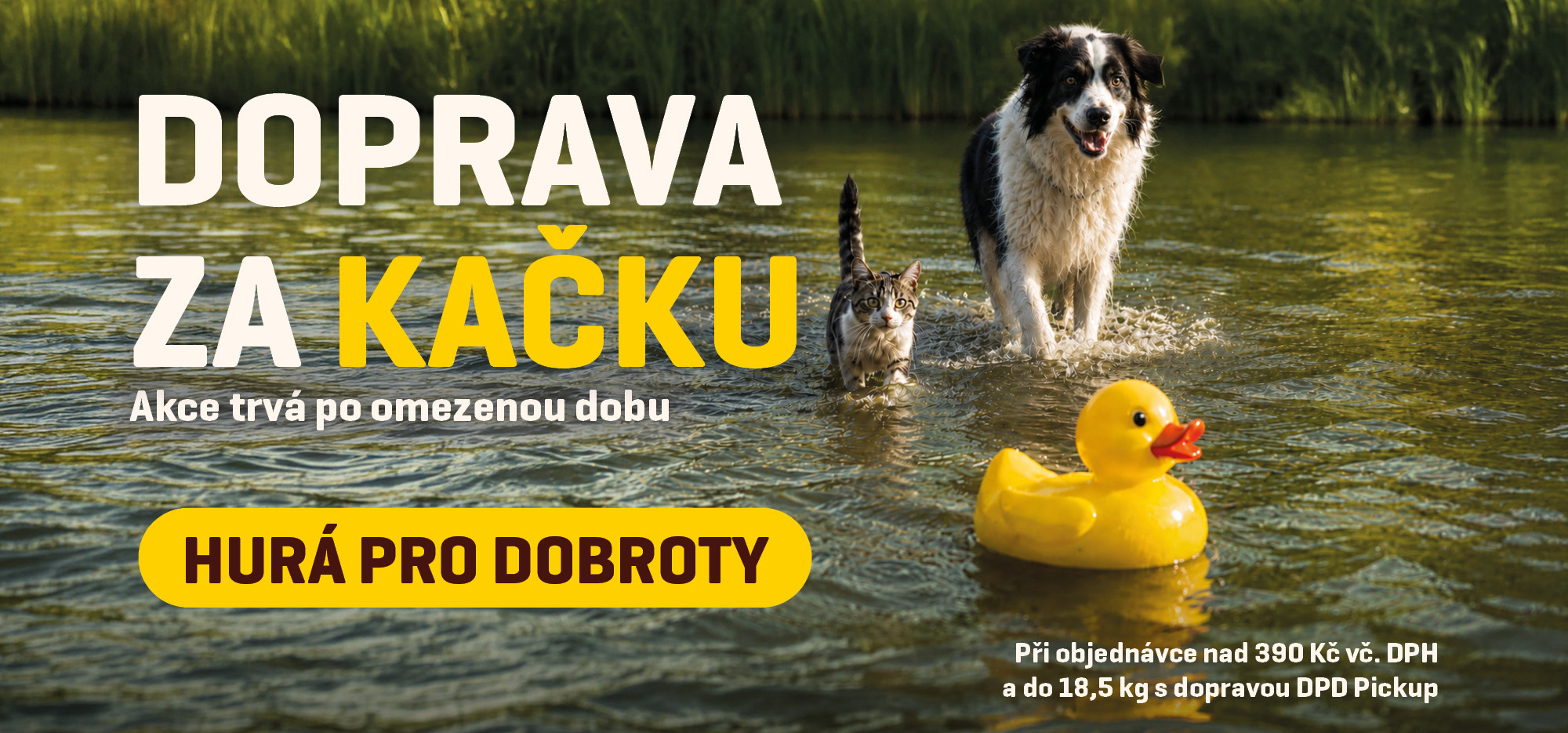 Doprava za 1 Kč