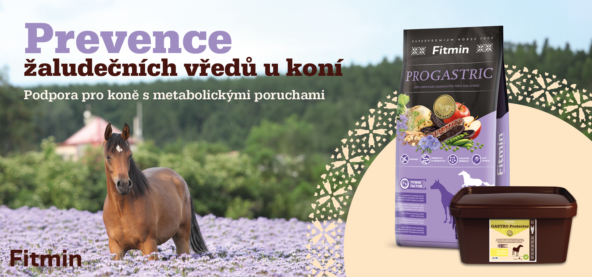 Koně progastric promo