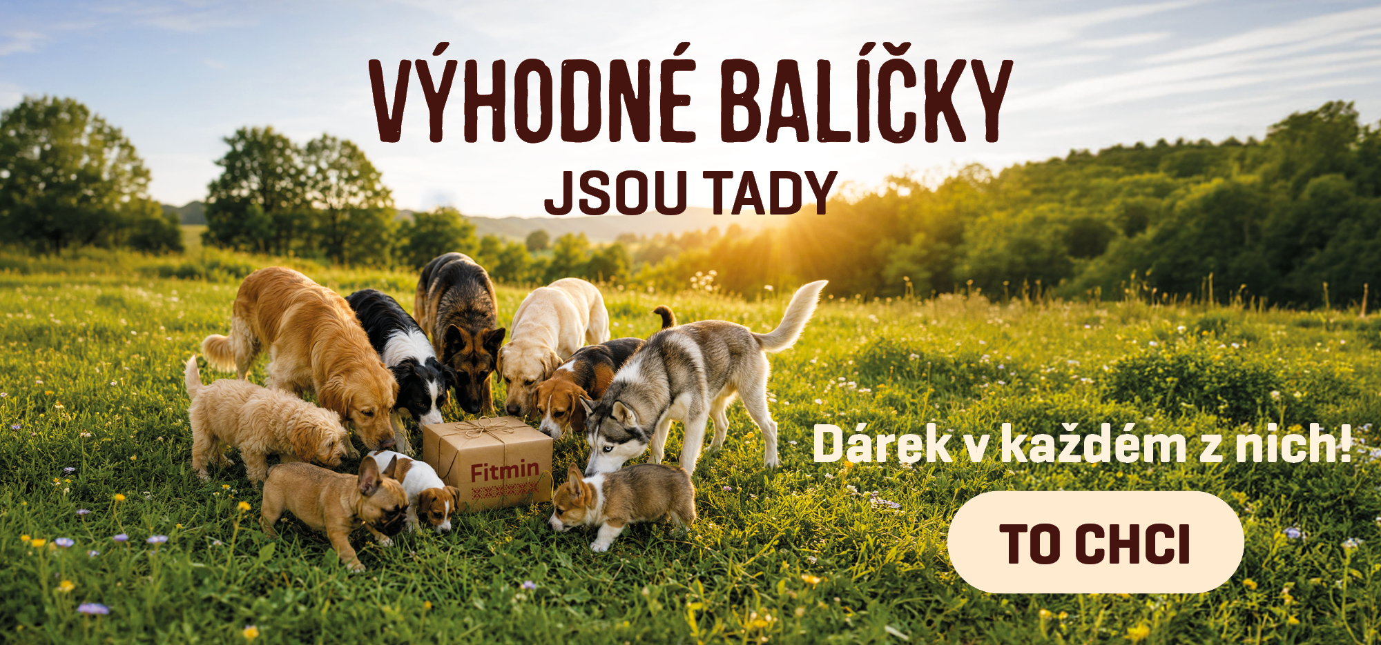 Výhodné balíčky krmiva pro psy a kočky s dárkem navíc