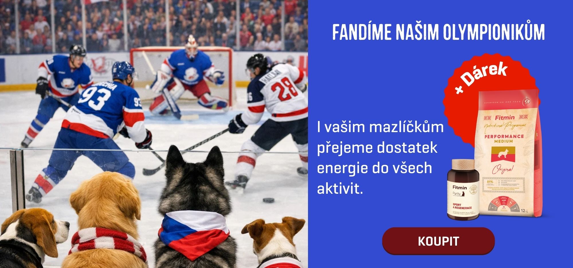 Performance + sport a regenerace