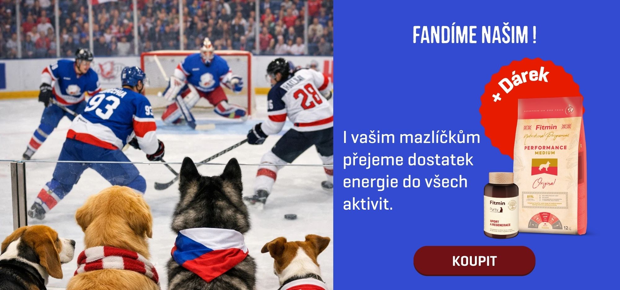 Performance + sport a regenerace