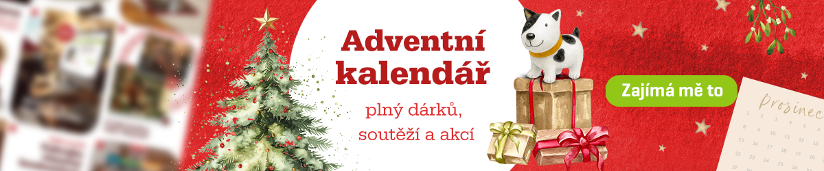 advent_kalendar_1200x250_B