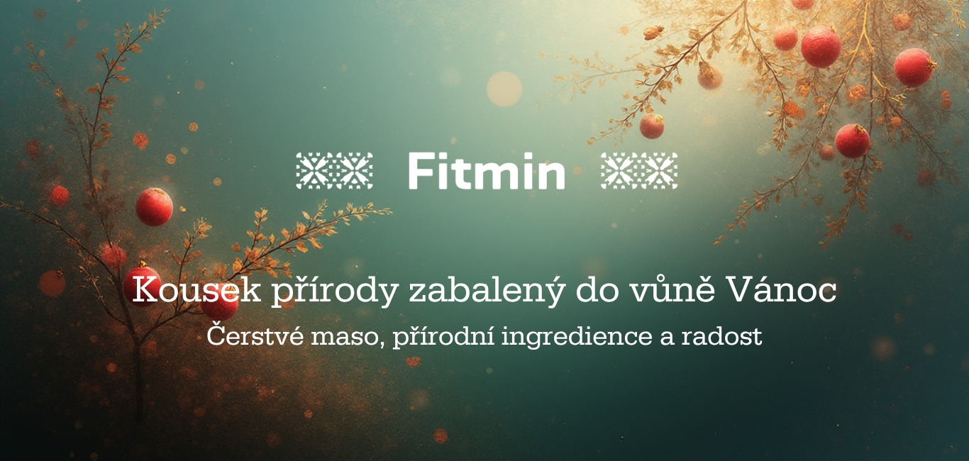 Vánoční produkty na fitmin.cz