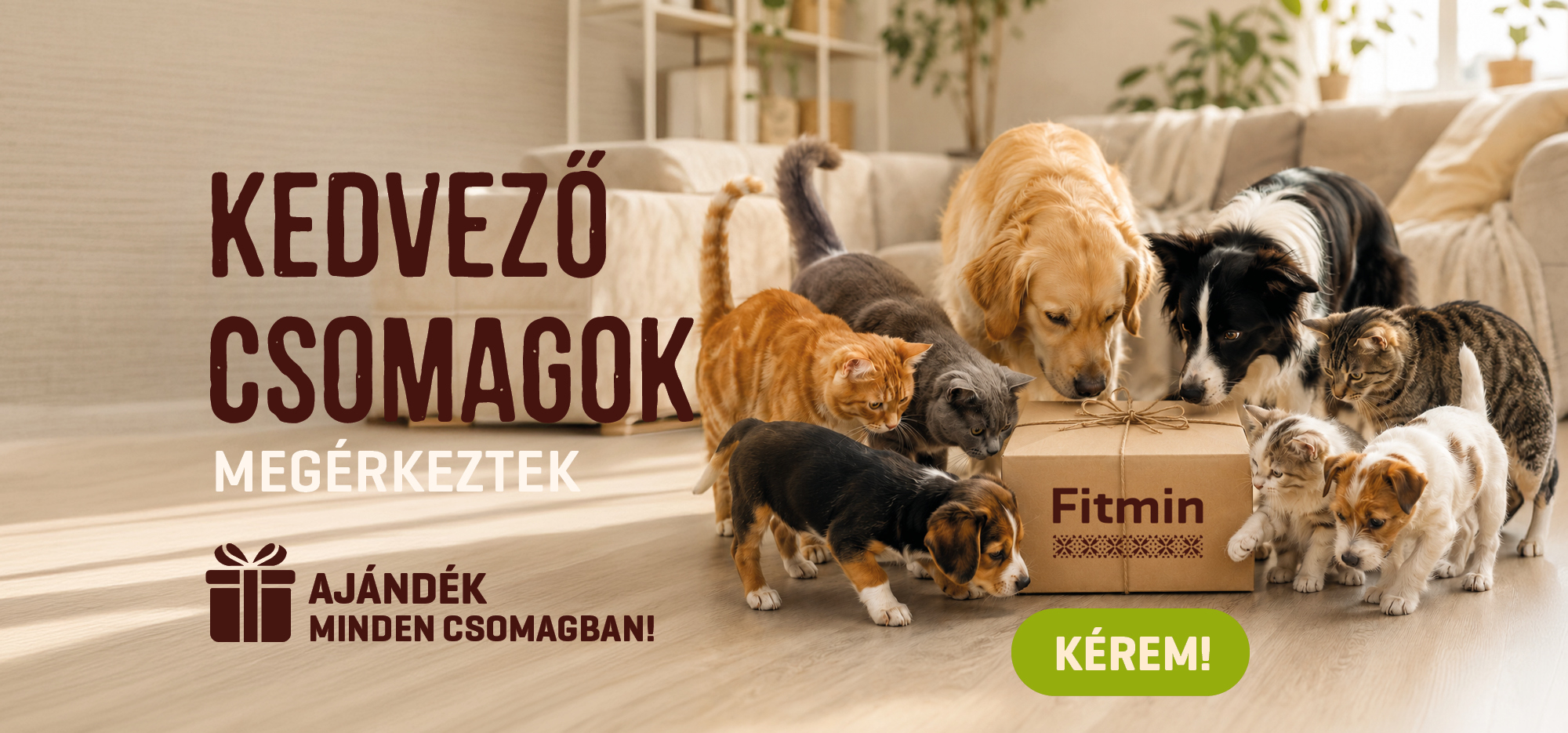 Fitmin kedvező csomagok kutyáknak és macskáknak – válogatott eledelek ajándékkal minden csomagban.