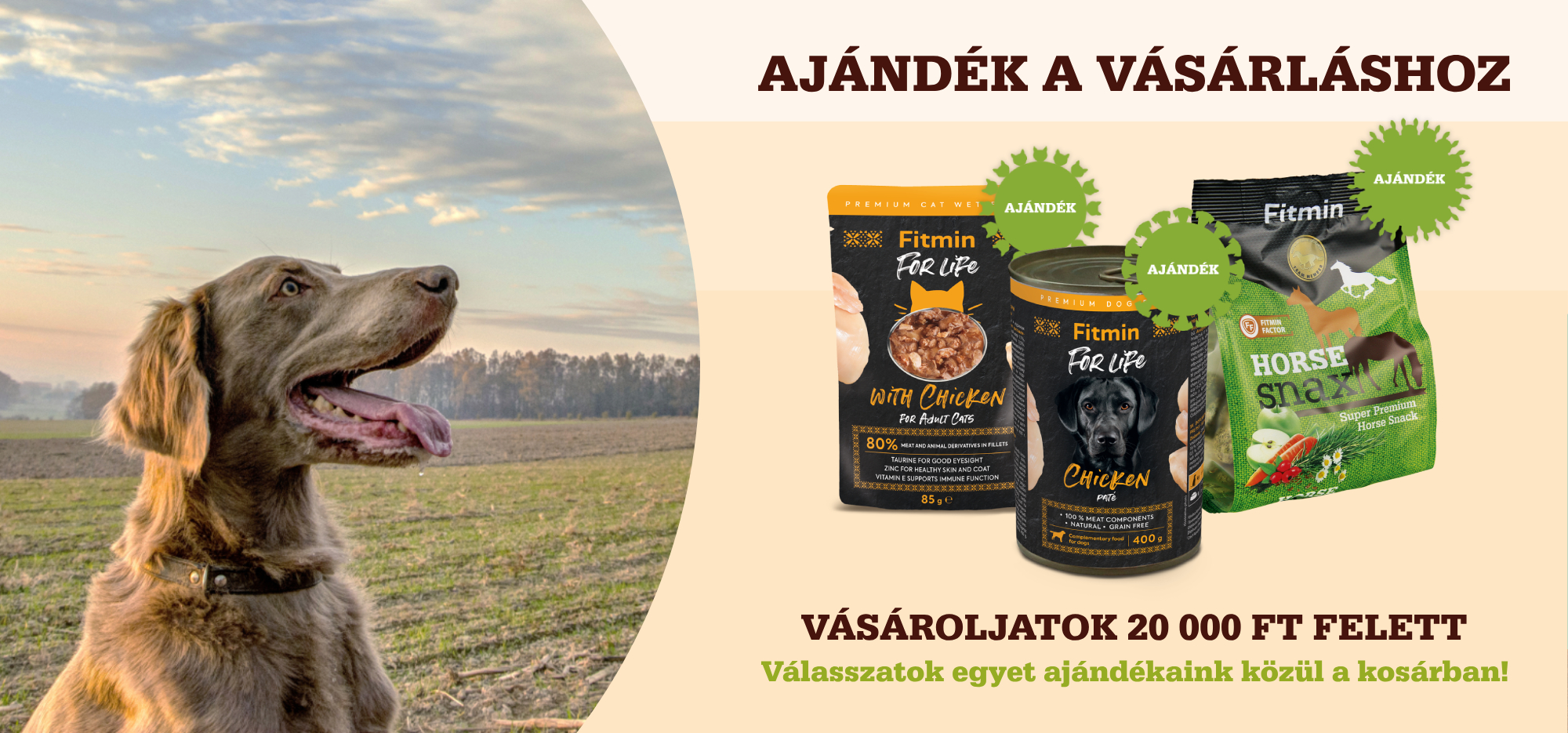 New e-shop action