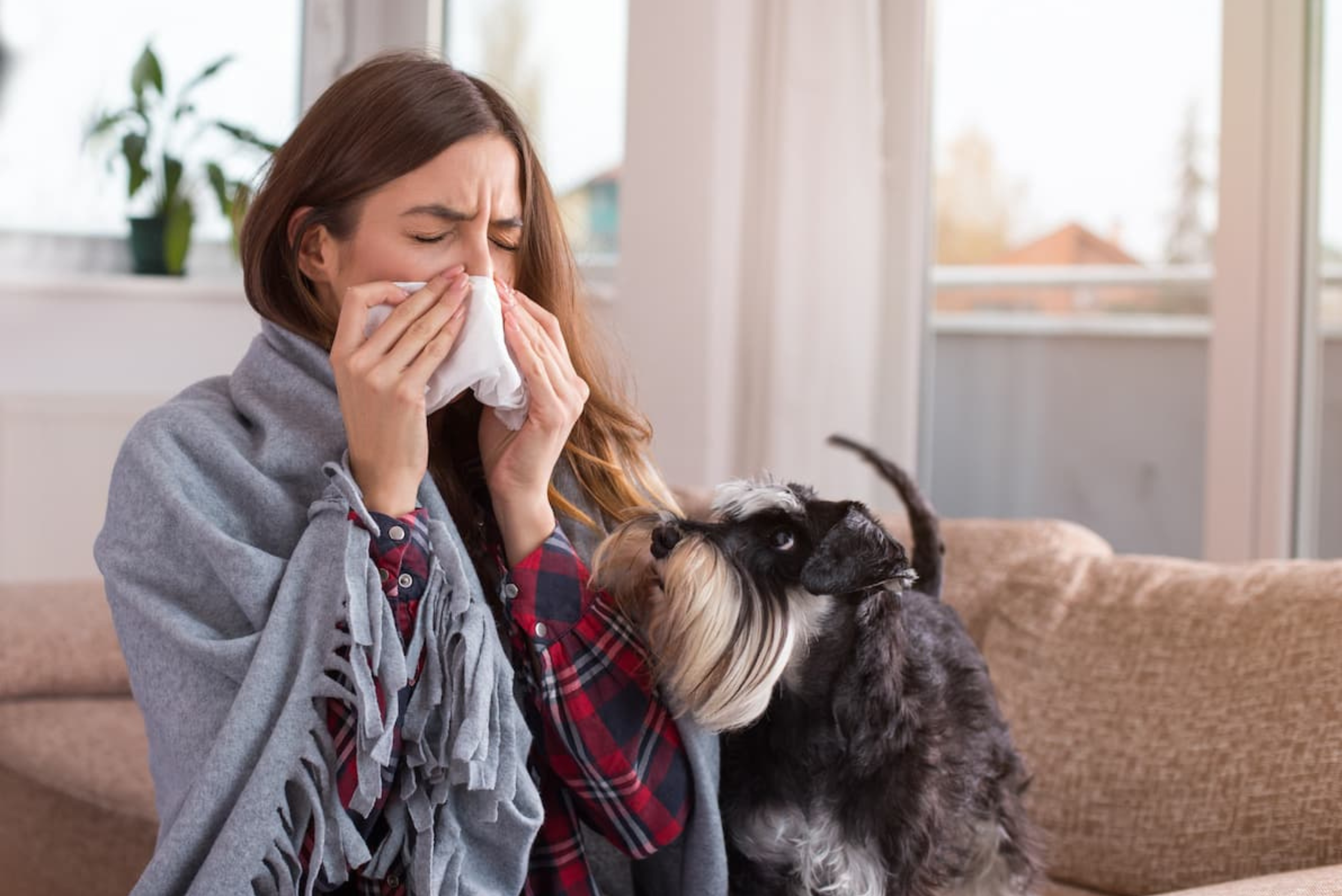 Alergia na psa – czy możesz się jej pozbyć?