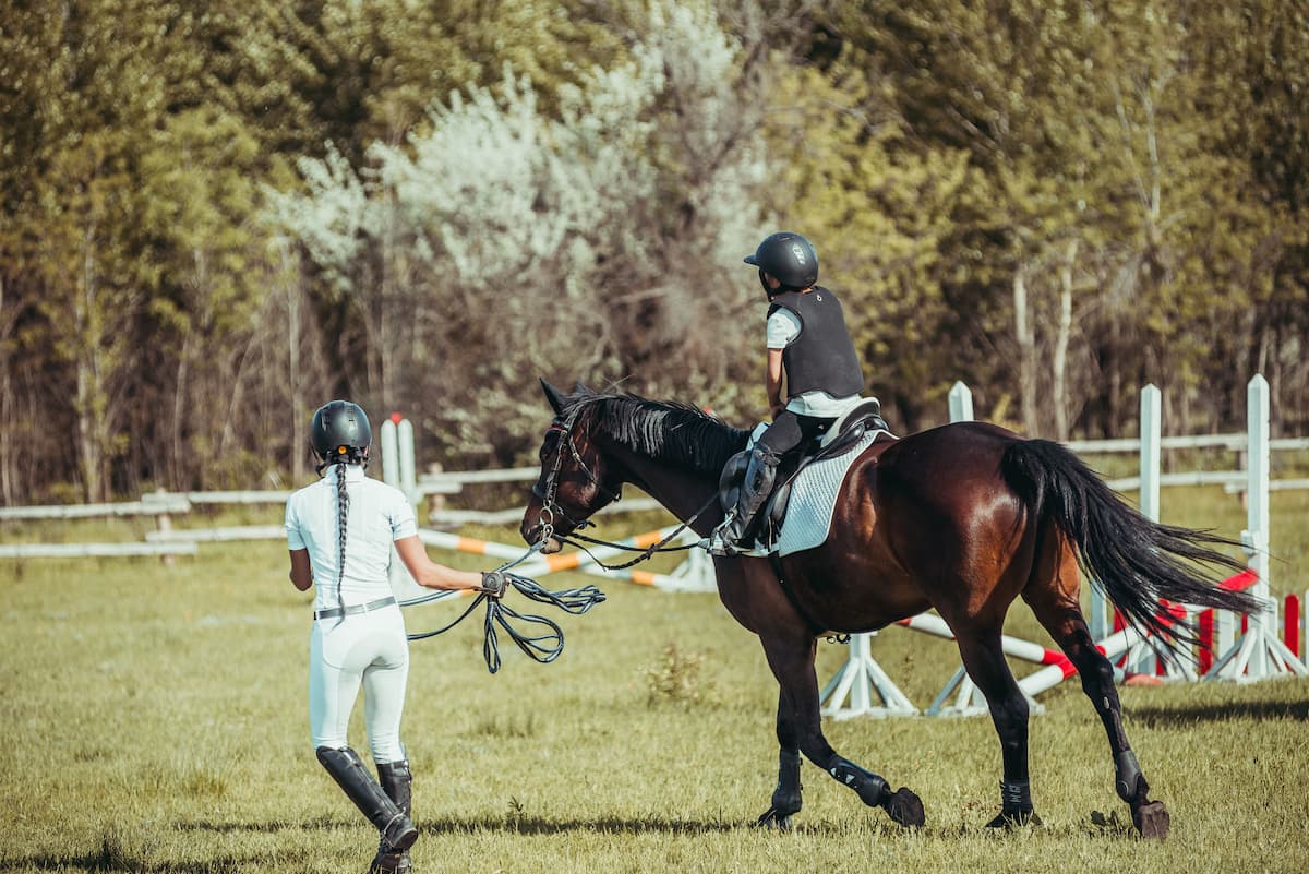 Nauka jazdy konnej – 5 wskazówek dla początkujących