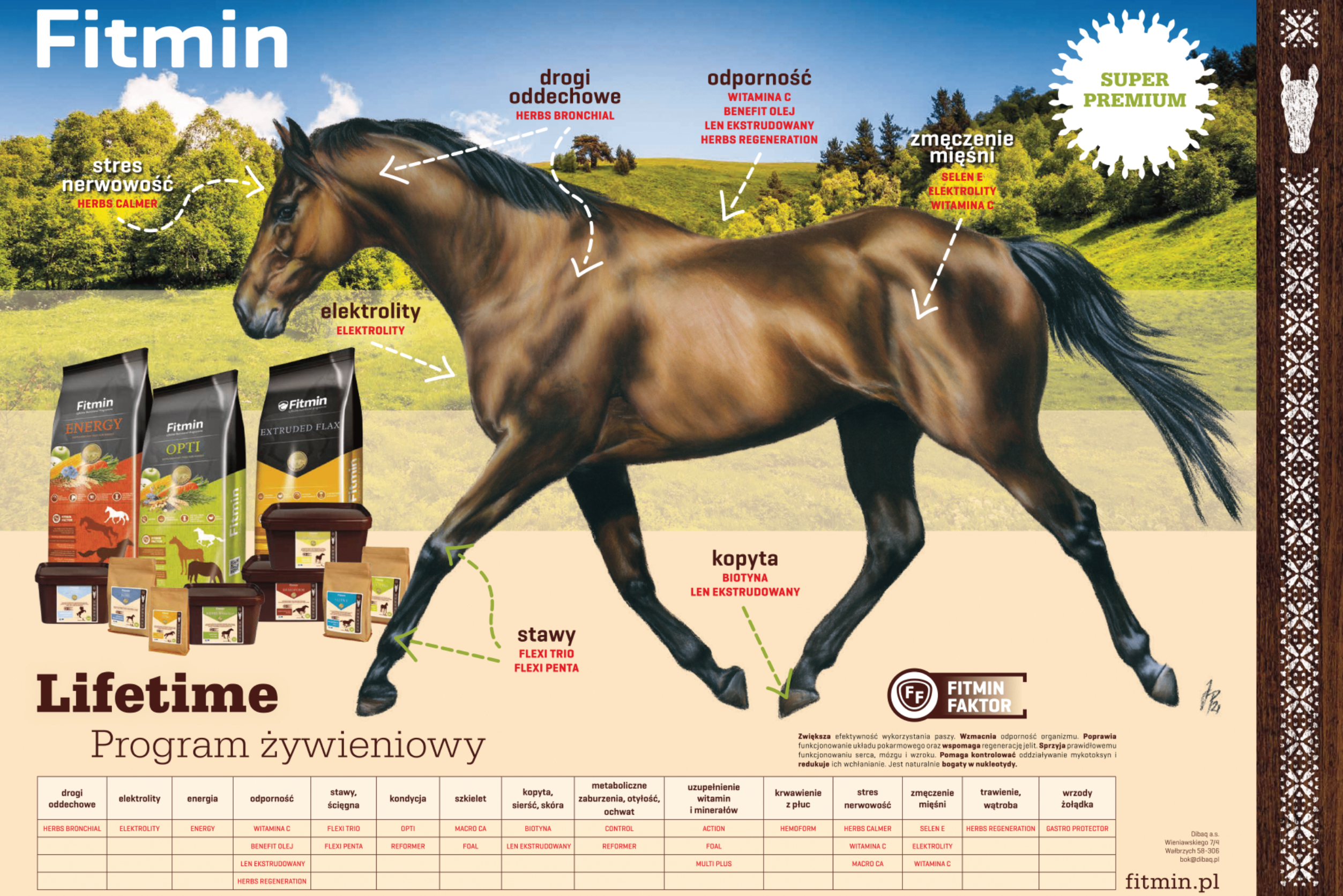 Pasze i dodatki paszowe Fitmin dla koni