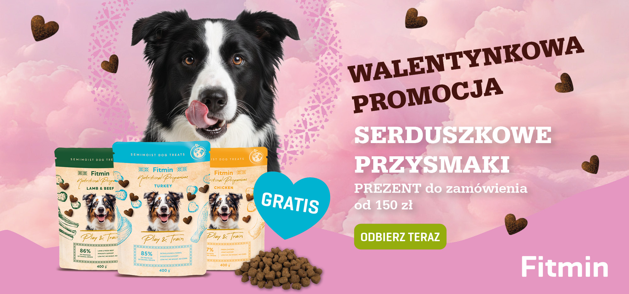 baner walentynki pies