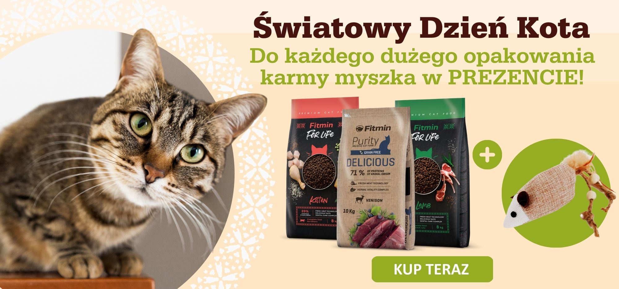 baner dzień kota