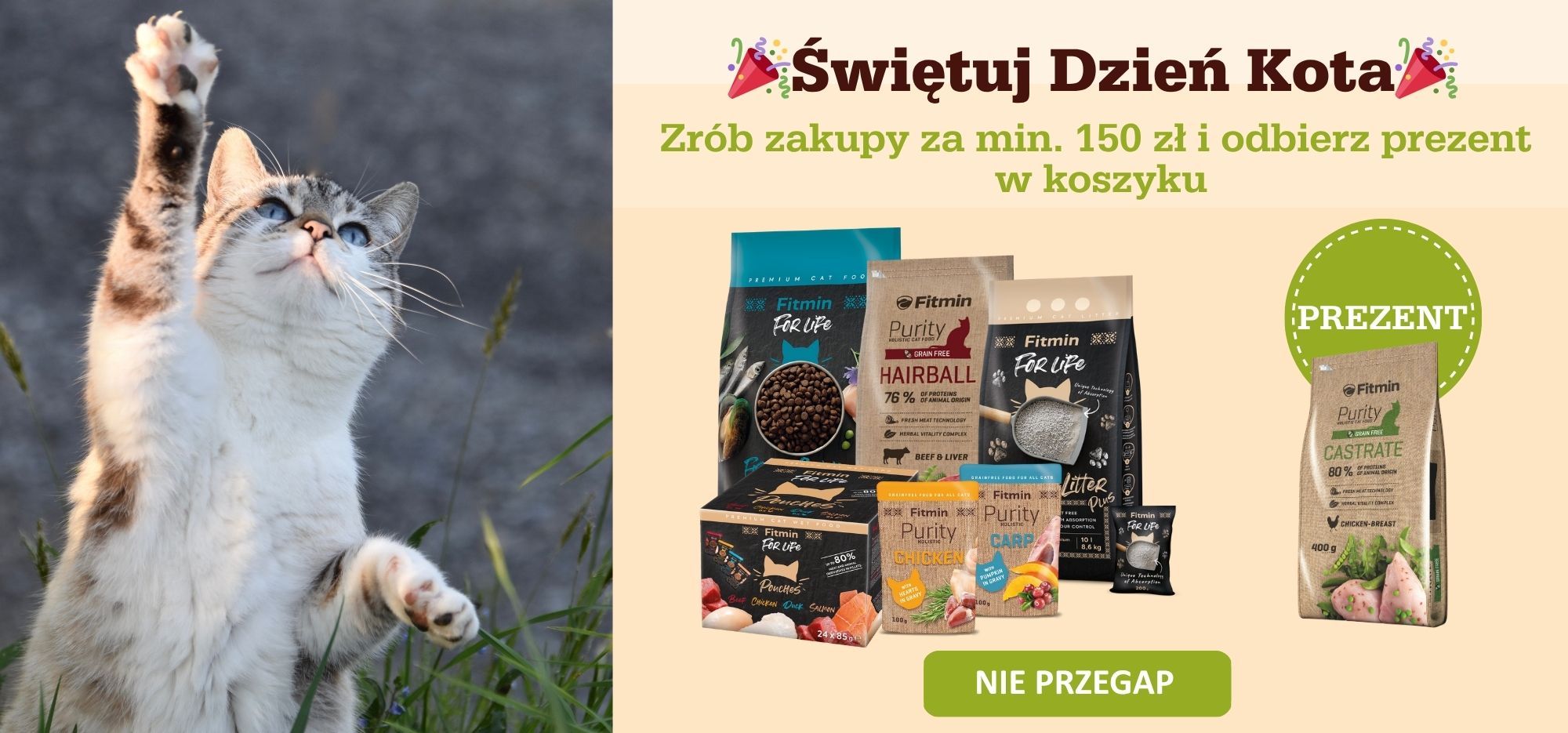 Dzień Kota