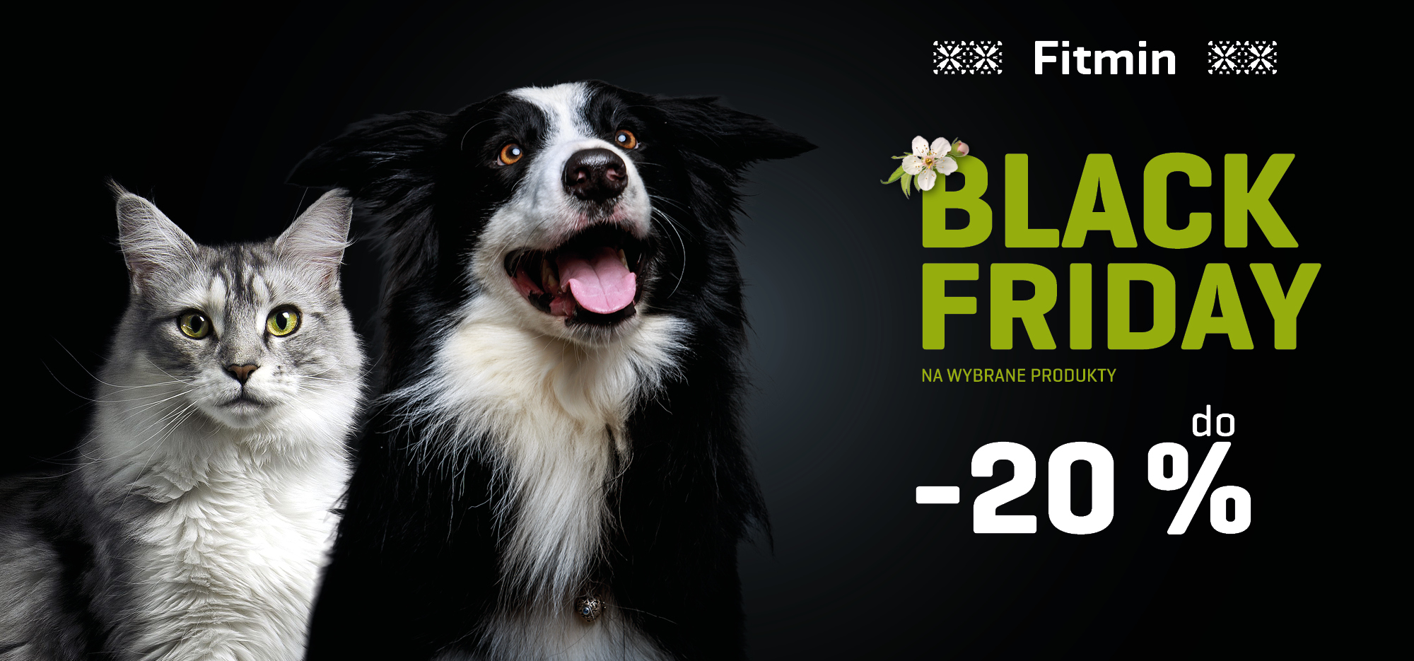 Fitmin Black Friday z rabatem do 20% na karmę dla psów i kotów