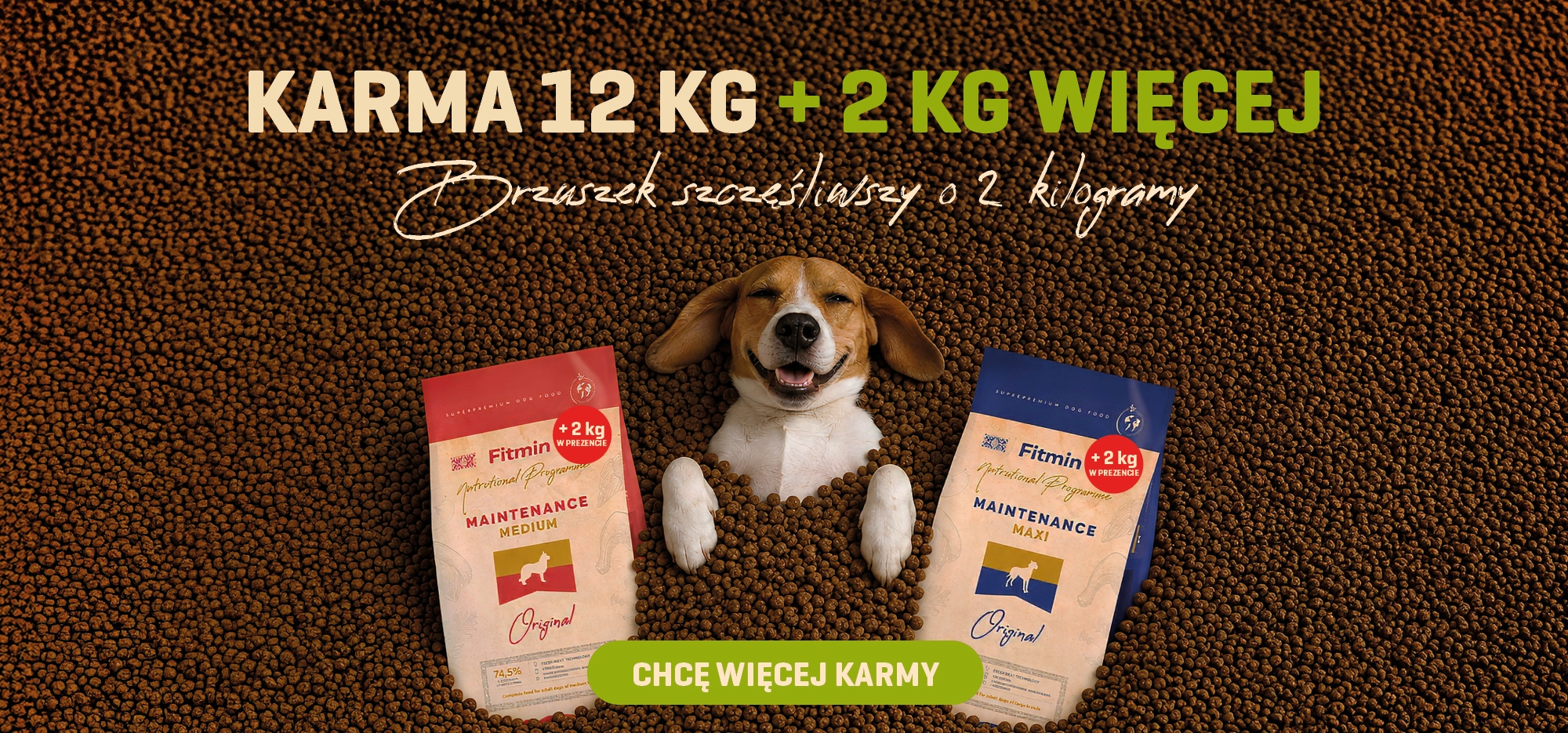 Fitmin sucha karma dla psa 12 kg + 2 kg gratis, wesoły pies wśród granulek.