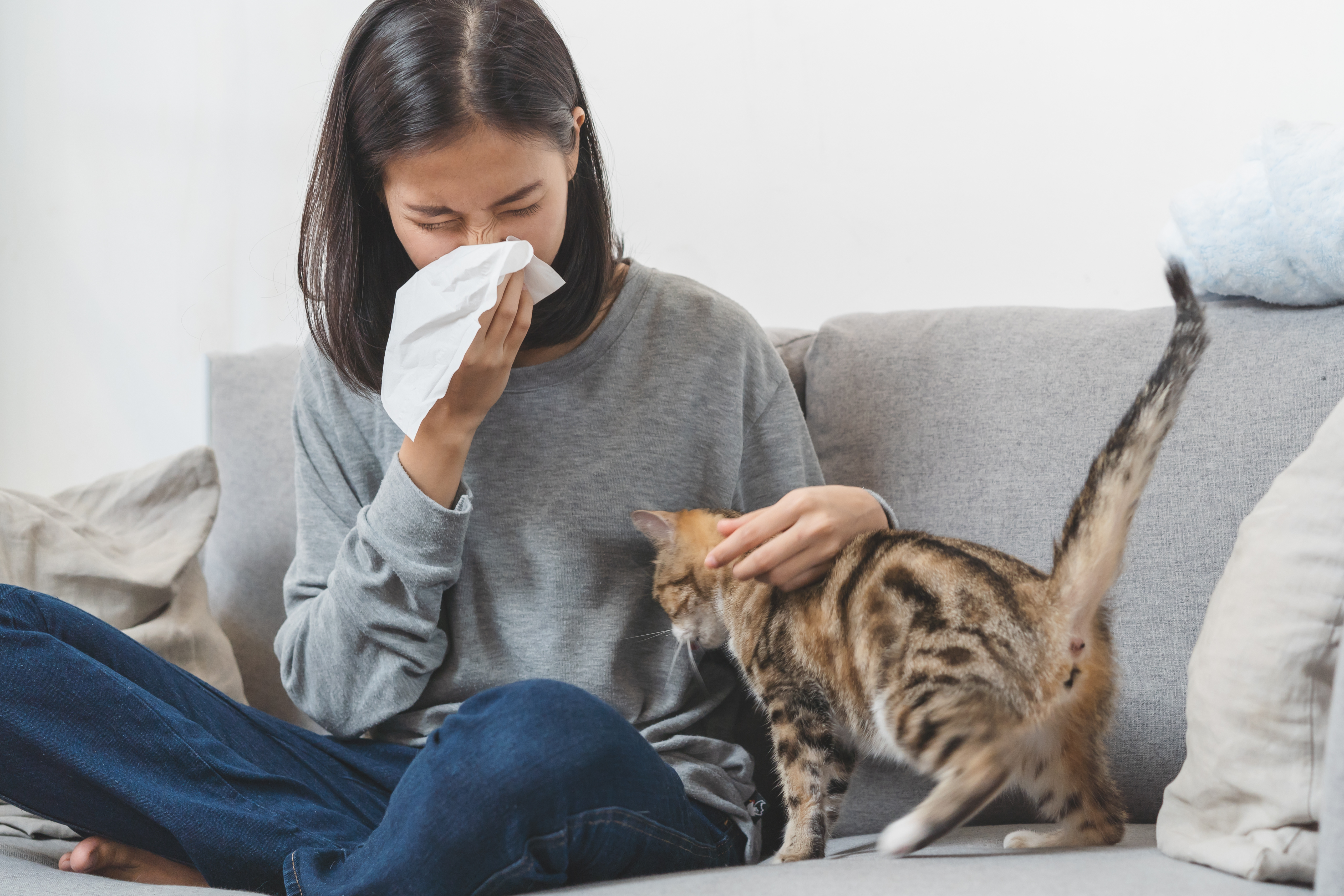 Alergia-na-koty-czy-uniemożliwia-życie-z-pupilem