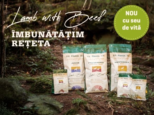 Lamb with Beef – îmbunătățim rețeta