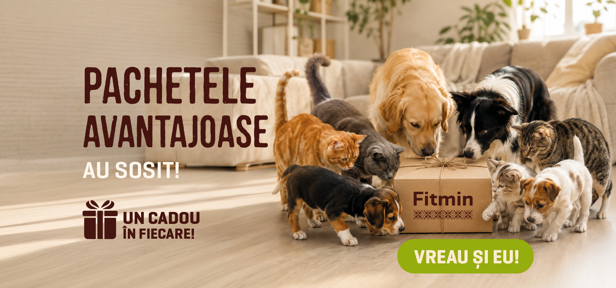 Pachete avantajoase Fitmin pentru câini și pisici – hrană de calitate și un cadou în fiecare pachet.