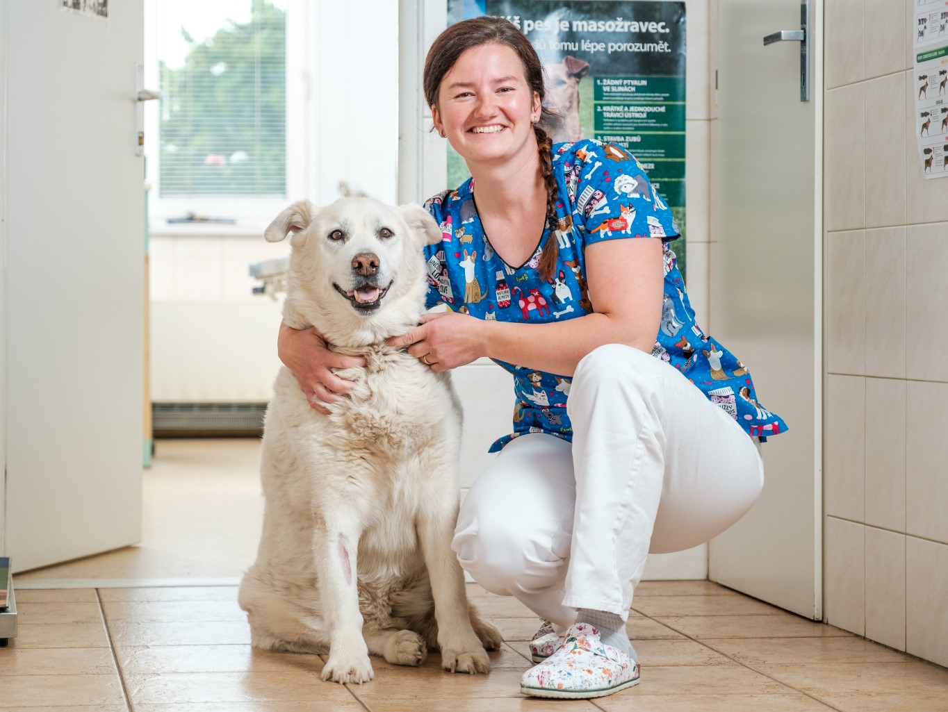 Prevenirea căpușelor la animalele de companie
