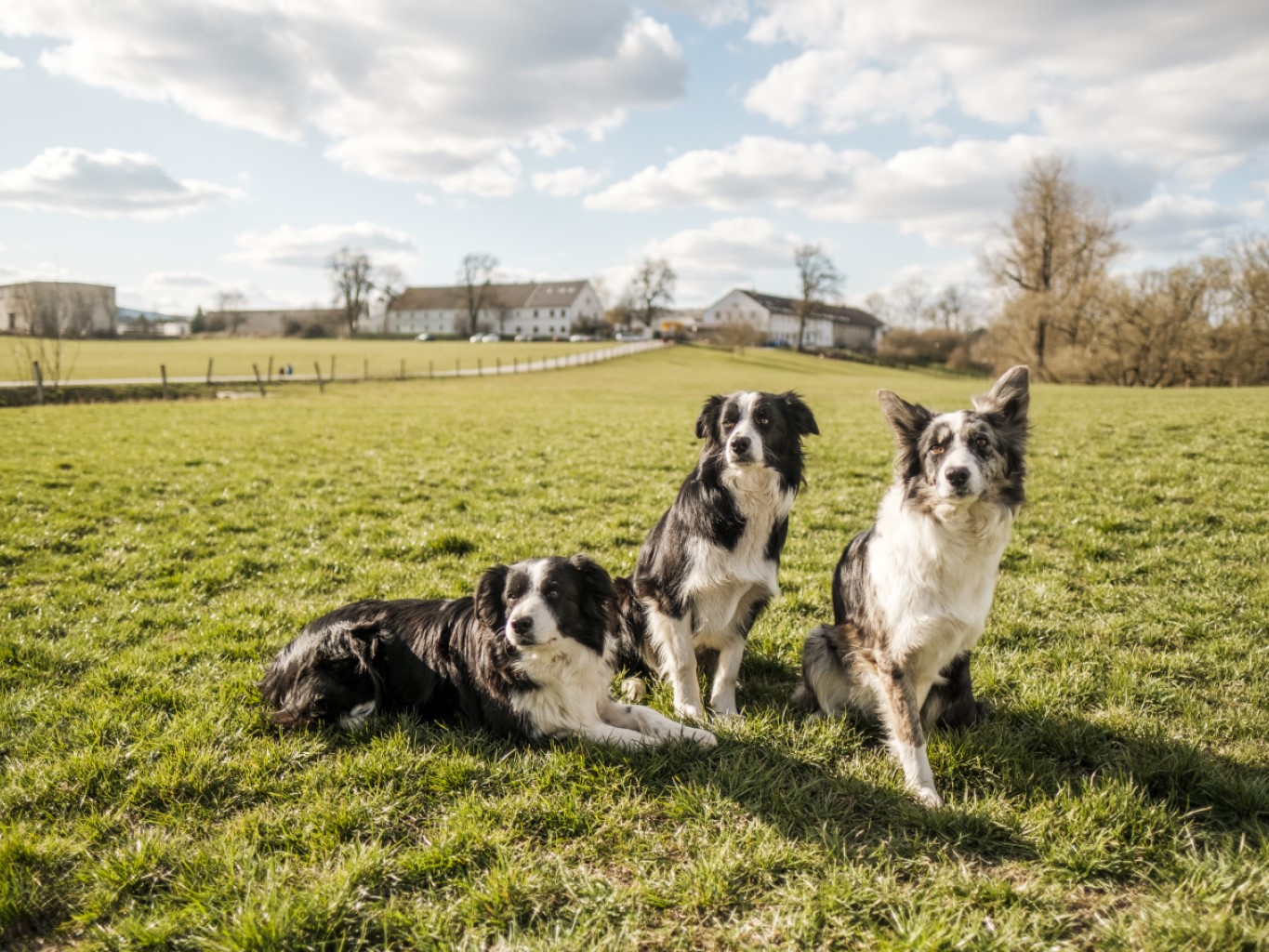 Chovateľská stanica Fitmin