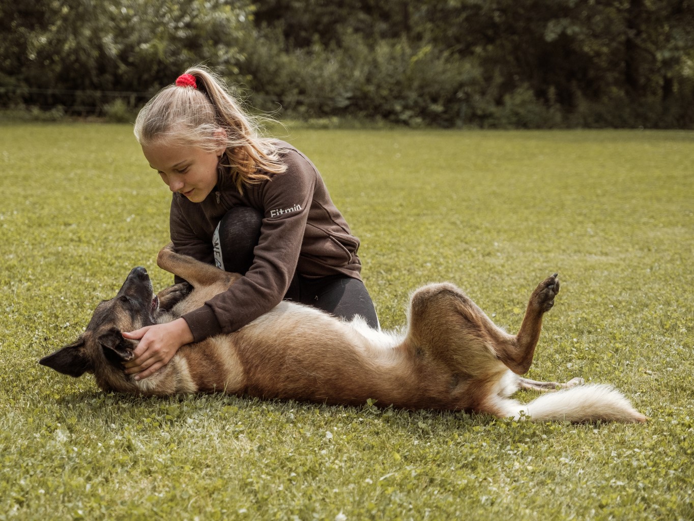 Ako najlepšie ochrániť psa pred kliešťami?