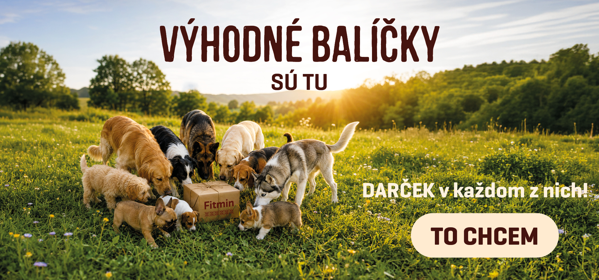 Výhodné balíčky krmiva pro psy a kočky s dárkem navíc