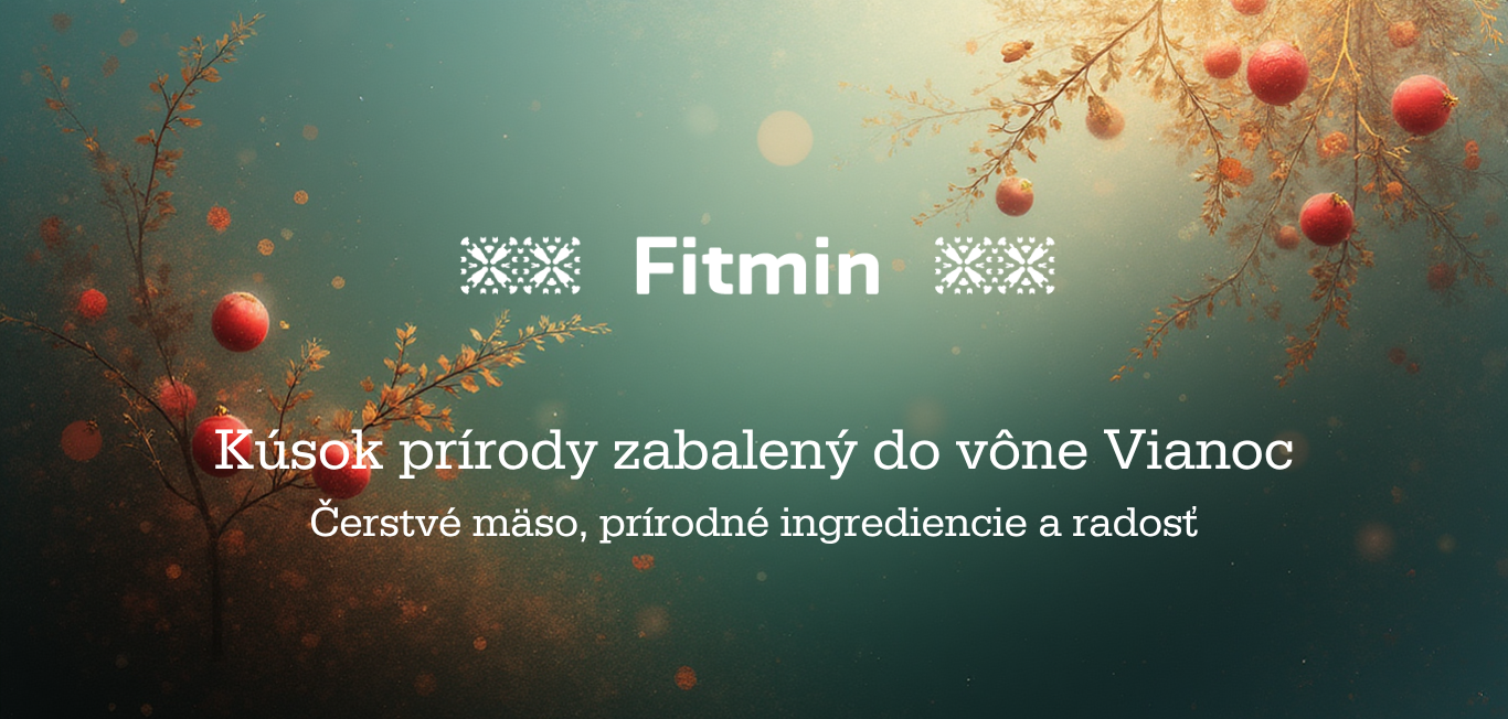 Vánoční produkty na fitmin.cz