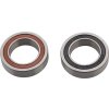 Hub Bearing Set Freehub Double Time (includes 2-63803D28) -X0 Hubs/Rise60 (B1)/Roam 30/Roa