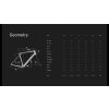 LAPIERRE Pulsium 6.0 AXS Gravity Grey 2025  Montáž, seřízení a doprava po ČR zdarma