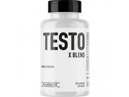 Testo XBlend