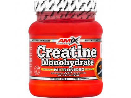 Creatine Monohydrate Powder - 300 g