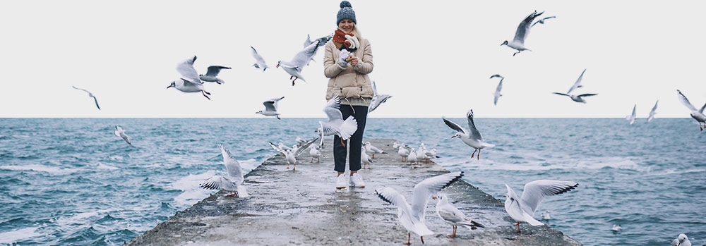 Woman_on_pier_surrounded_by_seagulls