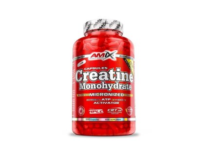 creatine monohydrate 500 kapslí amix