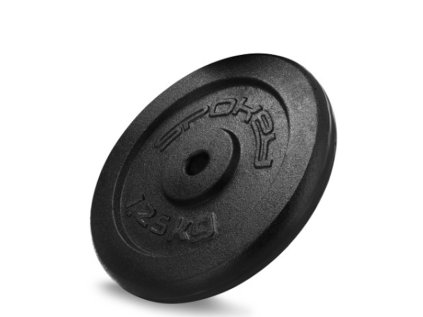 Litinový kotouč SINIS 1,25 kg
