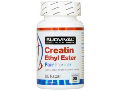 CEE Creatine ethyl ester StrongNutritions 250 kapslí