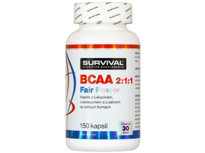 bcaa 211 fair power survival