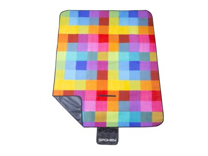 picnic color