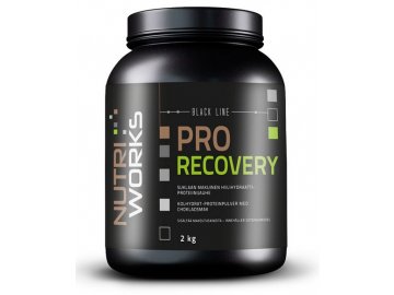 pro recovery 2