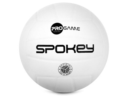 Volejbalový míč bílý Pro Game 1