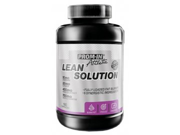 lean solution promin