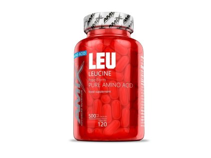 L-Leucine pure 500 mg 120 tablet