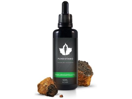 chaga extrakt