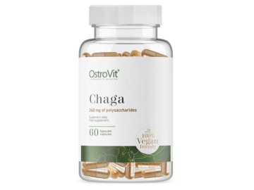 chaga houba v kapslích