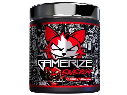 gamerize-energy-fitness-authority