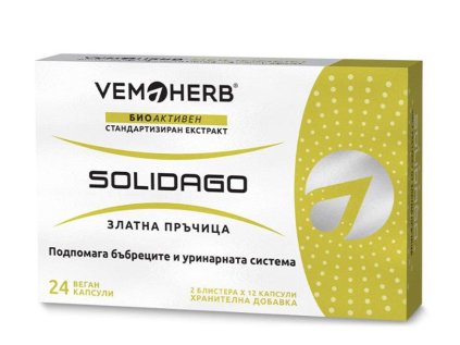 solidago